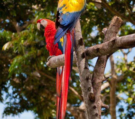 affordable-seo-strategy