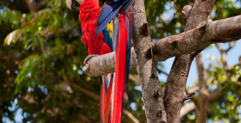 affordable-seo-strategy